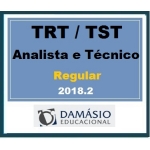 Analista e Técnico dos Tribunais do Trabalho TRT TST  Damásio. 2018.2